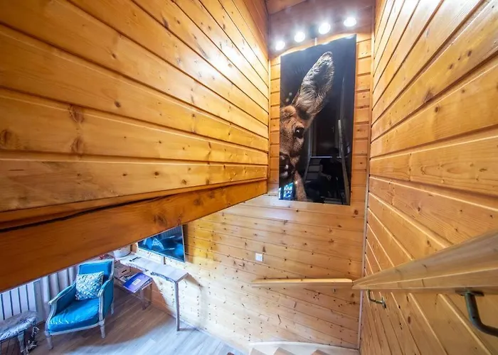 F\'Amis Lodge, 10 A 20P Et Sauna